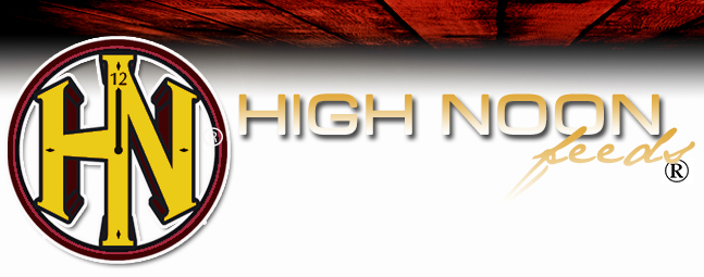 High Noon Feeds